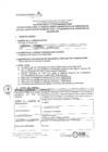 Vista preliminar de documento Proceso Cas N° 125_2019 