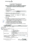 Vista preliminar de documento Proceso Cas N° 132_2019 