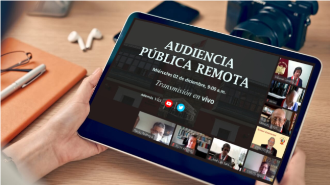Audiencia pública remota realizada el 2 de diciembre.