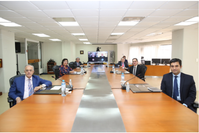 Pleno del TC recibió a misión de observadores de la OEA