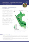 Vista preliminar de documento cafe_monitoreo_3feb21.pdf