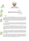Vista preliminar de documento RDE 021-2021.pdf