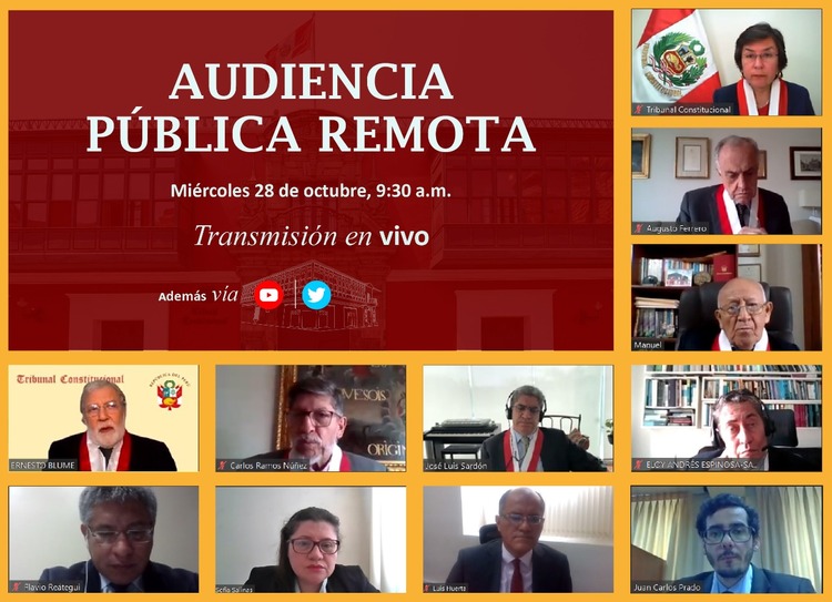 Participantes de la audiencia pública remota.