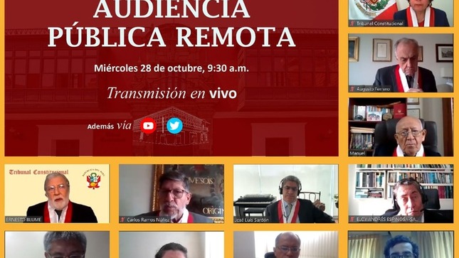 Participantes de la audiencia pública remota.