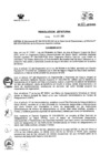 Vista preliminar de documento RJ-N133-2010.pdf