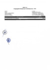 Vista preliminar de documento ANEXO Nº01