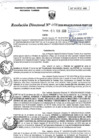 Vista preliminar de documento RD038-minagri-dvdiar-pebpt.de.pdf