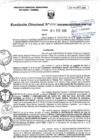 Vista preliminar de documento RD040-minagri-dvdiar-pebpt.de.pdf