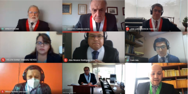Audiencia pública remota de Sala Segunda.