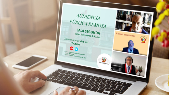 Audiencia pública remota de la Sala Segunda.