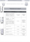 Vista preliminar de documento CRONOGRAMA CAS 002-2020