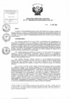 Vista preliminar de documento Resolución de Dirección Ejecutiva