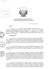 Vista preliminar de documento Resolución de Dirección Ejecutiva