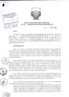 Vista preliminar de documento Resolución de Dirección Ejecutiva