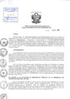 Vista preliminar de documento Resolución de Dirección Ejecutiva