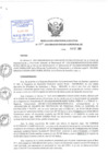 Vista preliminar de documento Resolución de Dirección Ejecutiva