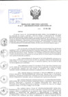 Vista preliminar de documento Resolución de Dirección Ejecutiva