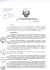 Vista preliminar de documento Resolución de Dirección Ejecutiva