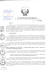 Vista preliminar de documento Resolución de Dirección Ejecutiva