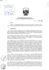 Vista preliminar de documento Resolución de Dirección Ejecutiva