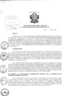 Vista preliminar de documento Resolución de Dirección Ejecutiva