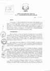 Vista preliminar de documento Resolución de Dirección Ejecutiva