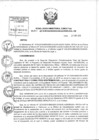 Vista preliminar de documento Resolución de Dirección Ejecutiva