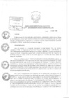 Vista preliminar de documento Resolución de Dirección Ejecutiva