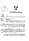 Vista preliminar de documento Resolución de Dirección Ejecutiva