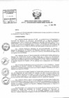 Vista preliminar de documento Resolución de Dirección Ejecutiva