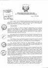 Vista preliminar de documento Resolución de Dirección Ejecutiva