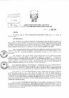 Vista preliminar de documento Resolución de Dirección Ejecutiva