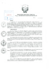 Vista preliminar de documento Resolución de Dirección Ejecutiva