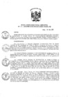 Vista preliminar de documento Resolución de Dirección Ejecutiva