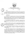 Vista preliminar de documento Resolución de Dirección Ejecutiva