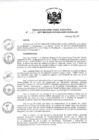 Vista preliminar de documento Resolución de Dirección Ejecutiva
