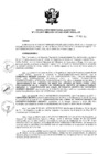 Vista preliminar de documento Resolución de Dirección Ejecutiva