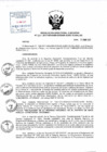 Vista preliminar de documento Resolución de Dirección Ejecutiva