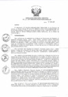 Vista preliminar de documento Resolución de Dirección Ejecutiva