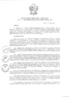 Vista preliminar de documento Resolución de Dirección Ejecutiva