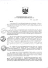 Vista preliminar de documento Resolución de Dirección Ejecutiva