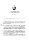Vista preliminar de documento Resolución de Dirección Ejecutiva