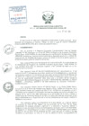 Vista preliminar de documento Resolución de Dirección Ejecutiva