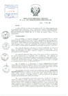 Vista preliminar de documento Resolución de Dirección Ejecutiva