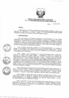 Vista preliminar de documento Resolución de Dirección Ejecutiva