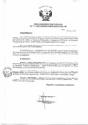 Vista preliminar de documento Resolución de Dirección Ejecutiva