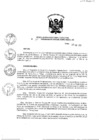 Vista preliminar de documento Resolución de Dirección Ejecutiva