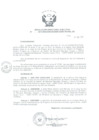 Vista preliminar de documento Resolución de Dirección Ejecutiva