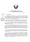 Vista preliminar de documento Resolución de Dirección Ejecutiva