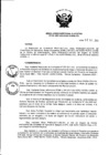 Vista preliminar de documento Resolución de Dirección Ejecutiva